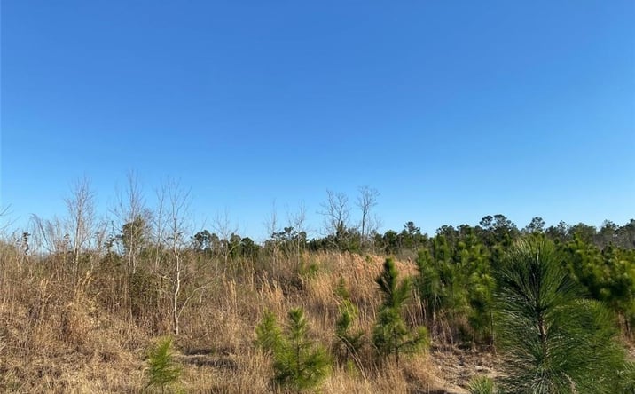 Pictures of Land property located at 0 College Heights, Lake Charles, LA 70605 for sales - image #1