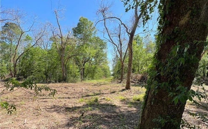 Pictures of Land property located at 5010 Wilbert D Rochelle Avenue, Jennings, LA 70546 for sales - image #1
