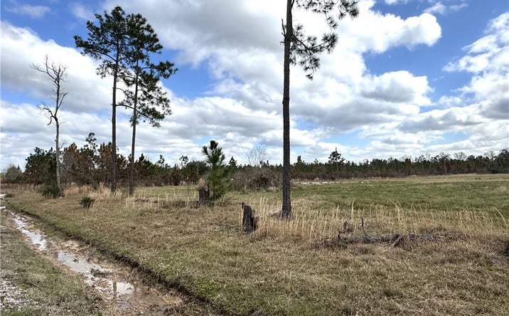 Pictures of Land property located at 0 Marcantel Road, Dequincy, LA 70633 for sales - image #1