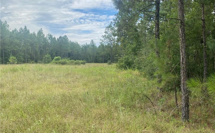 Pictures of Land property located at 0 Hwy 27 Highway S, Dequincy, LA 70633 for sales - image #1