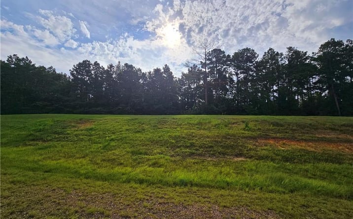 Pictures of Land property located at 0 S Pine Street, DeRidder, LA 70634 for sales - image #1