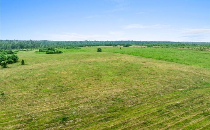 Pictures of Land property located at Whittington Road Tract 1, Longville, LA 70652 for sales - image #1