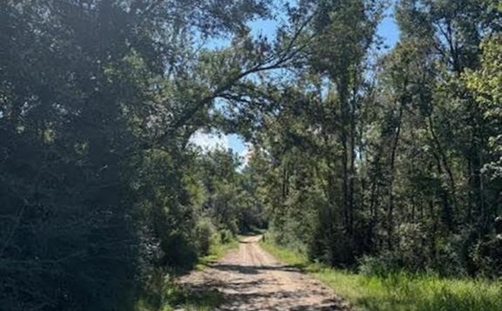 Pictures of Land property located at 0 Buck Holland Road #TBD TBD, Ragley, LA 70657 for sales - image #1