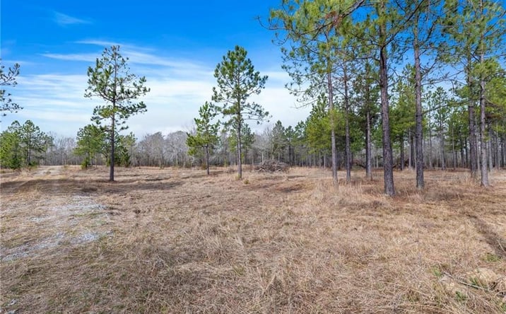 Pictures of Land property located at 0 Conway Rosteet Road #Tract 3 Tract 3, Ragley, LA 70657 for sales - image #1
