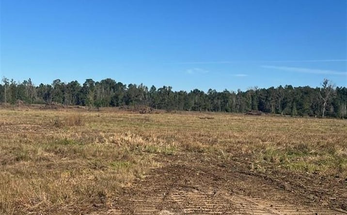 Pictures of Land property located at 0 Conway Rosteet Road, Longville, LA 70652 for sales - image #1