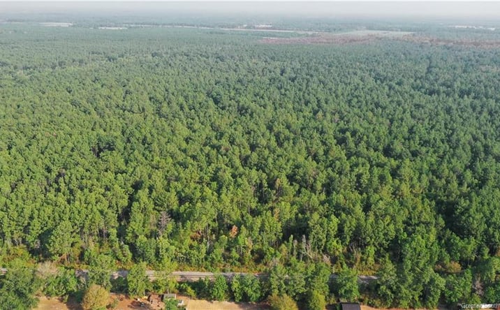 Pictures of Land, Industrial, Multifamily, Special Purpose property located at Planer Mill Road, DeRidder, LA 70634 for sales - image #1