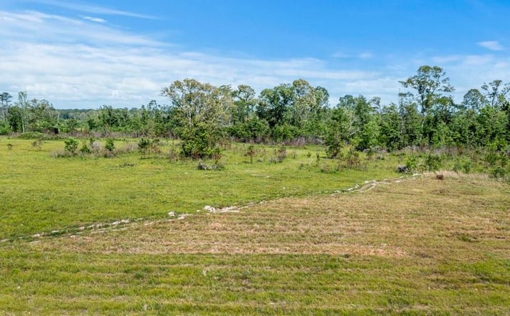 Pictures of Land property located at Highway 113 Highway, Reeves, LA 70658 for sales - image #1