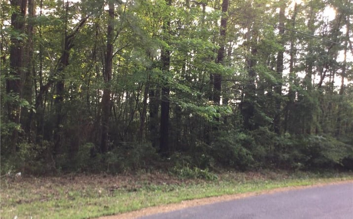 Pictures of Land property located at 0 Stanley Road, Leesville, LA 71446 for sales - image #1