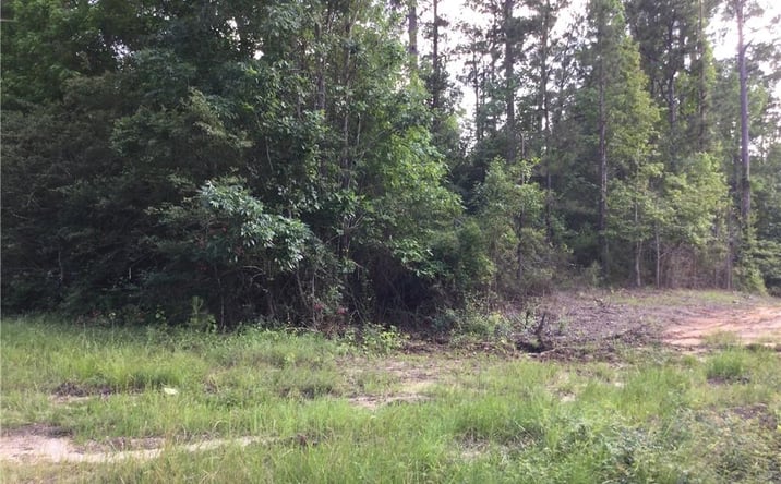 Pictures of Land property located at 0 Alexandria Highway, Leesville, LA 71446 for sales - image #1