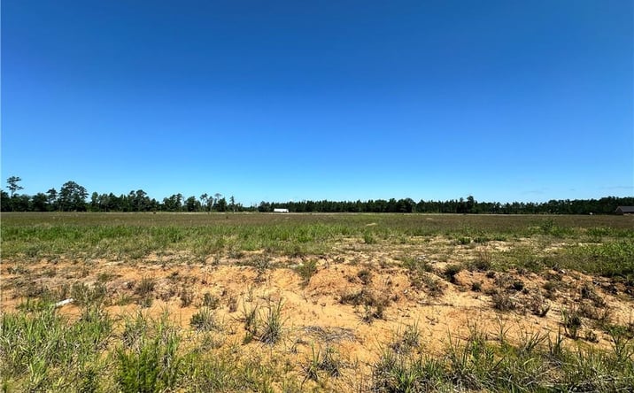 Pictures of Land property located at 0 Calla Lily Drive, Ragley, LA 70657 for sales - image #1