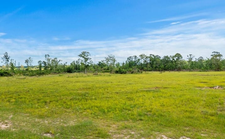 Pictures of Land property located at Highway 113 Highway, Reeves, LA 70658 for sales - image #1