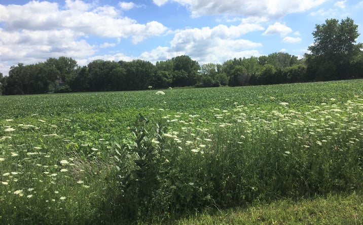 Pictures of Land property located at Lot 1A Koppie Road, Gilberts, IL 60136 for sales - image #1