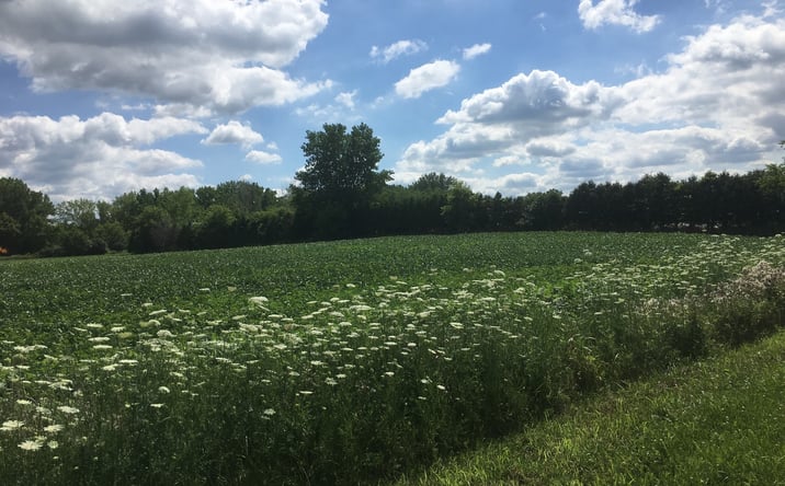 Pictures of Land, Industrial property located at Lot1 and Lot1A Koppie Road, Gilberts, IL 60136 for sales - image #1