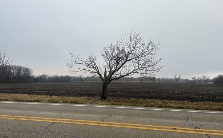 Pictures of Land property located at 70 acres Galligan Road, Gilberts, IL 60136 for sales - image #1