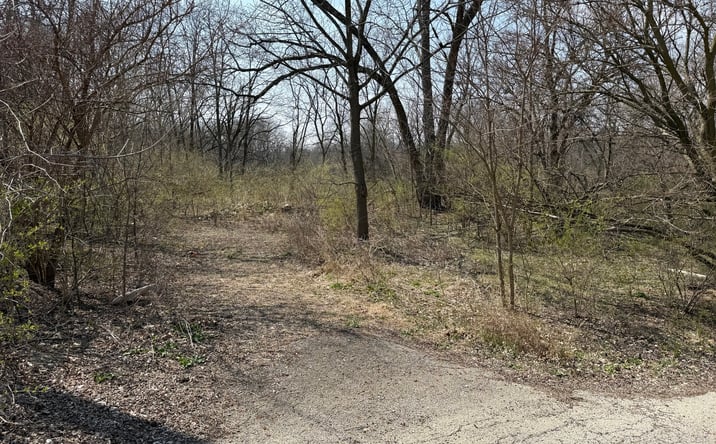 Pictures of Land property located at 123 W Benton Street, Oswego, IL 60543 for sales - image #1