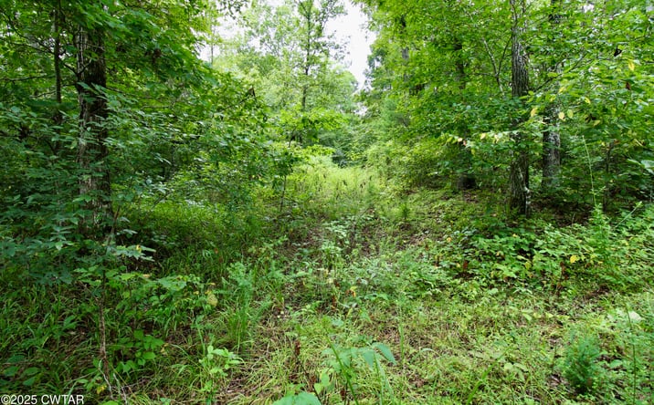 Pictures of Land property located at 1124 Lick Creek Boat Dock Loop, Parsons, TN 38363 for sales - image #1