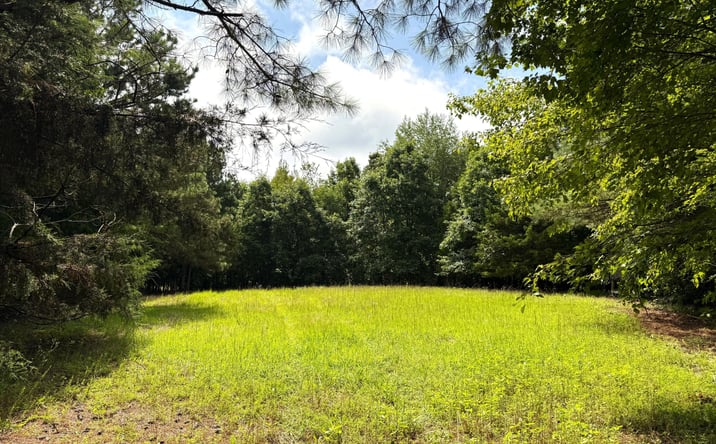 Pictures of Land property located at 00 Old Hwy 69 & Hog Creek Rd, Sugar Tree, TN 38380 for sales - image #1