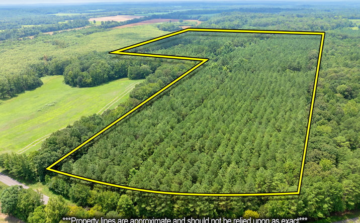Pictures of Land property located at 0 Darden Road, Lexington, TN 38351 for sales - image #1