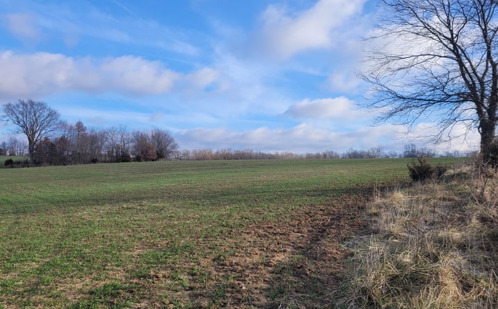 Pictures of Land property located at Bales Rd, Middletown, MO 63359 for sales - image #1
