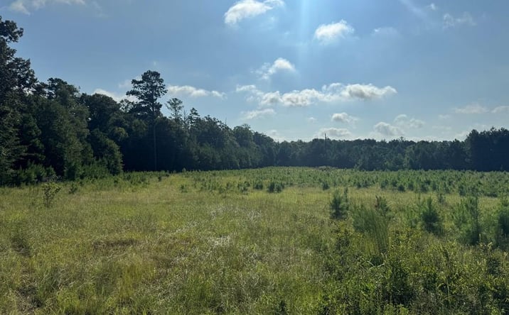 Pictures of Land property located at East Lamar Street, Americus, GA 31709 for sales - image #1