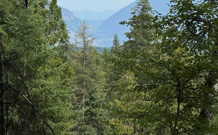 Pictures of Land property located at 88 Abbey Road, Whitefish, MT 59937 for sales - image #1