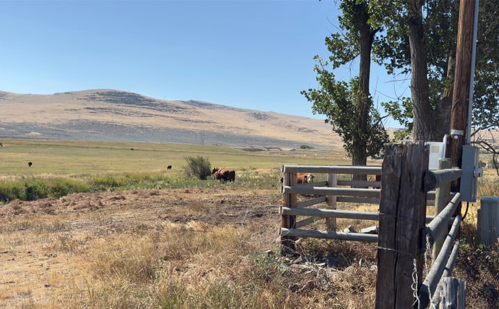 Pictures of Land property located at NHN Mt Highway 28, Hot Springs, MT 59845 for sales - image #1