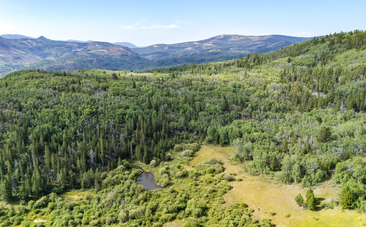 Pictures of Land property located at TBD Tract A TBD, Anaconda, MT 59711 for sales - image #1