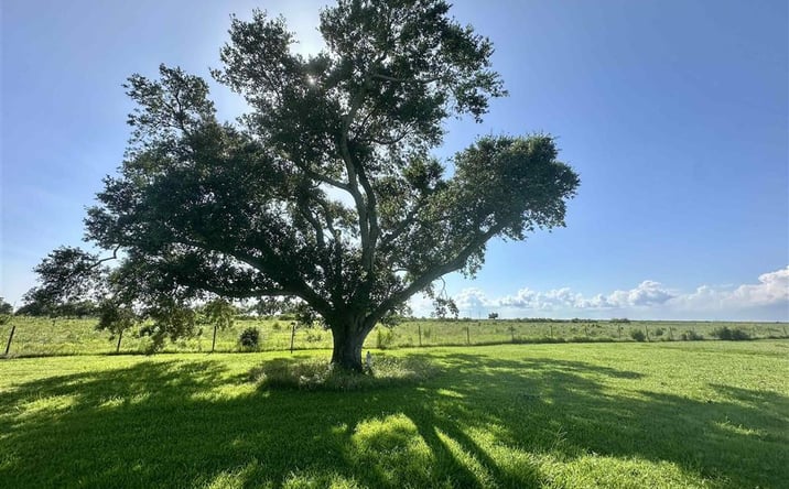 Pictures of Land property located at 163 Mallard Ln Lane, Cameron, LA 70631 for sales - image #1