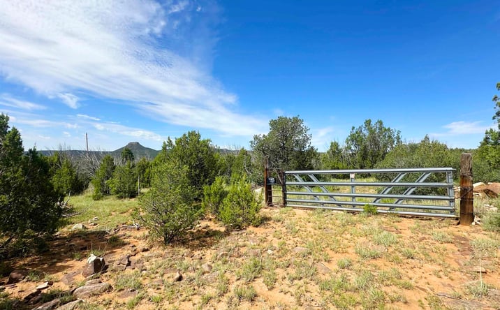 Pictures of Land property located at 10 Acres On County Road B26d, Serafina, NM 87569 for sales - image #1