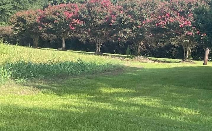 Pictures of Land, Mixed Use, Special Purpose property located at 720 Hwy 31, Amite City, LA 70422 for sales - image #1
