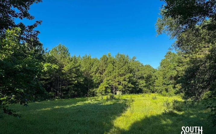 Pictures of Land property located at J M Burge Rd, Hattiesburg, MS 39402 for sales - image #1