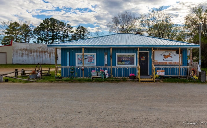 Pictures of Retail property located at 12015 State Route 101, Caulfield, MO 65626 for sales - image #1