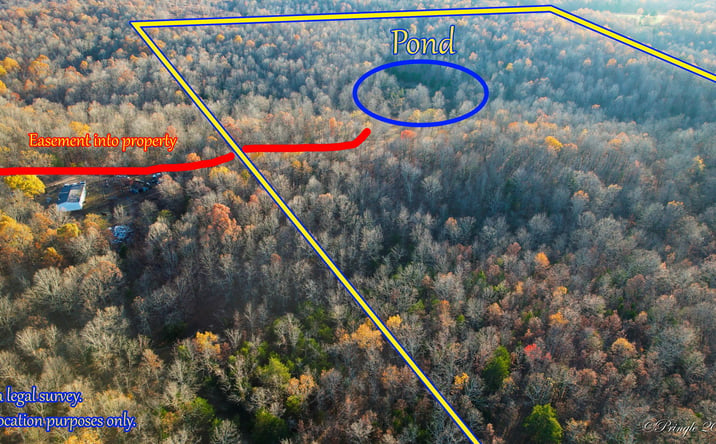 Pictures of Land property located at 000 County 219, Thayer, MO 65791 for sales - image #1