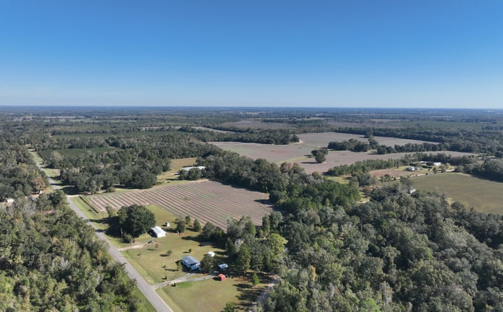 Pictures of Land property located at 0 5018 Old U S Rd, Marianna, FL 32446 for sales - image #1