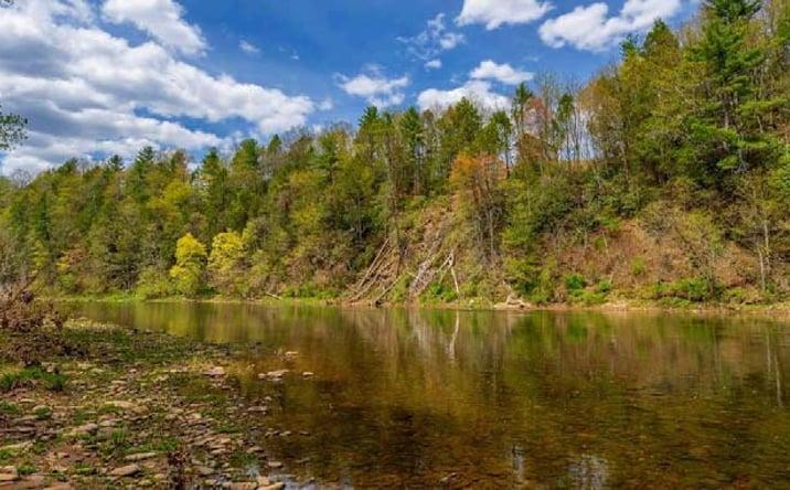 Pictures of Land property located at Tbd Route 1, Parsons, WV 26287 for sales - image #1