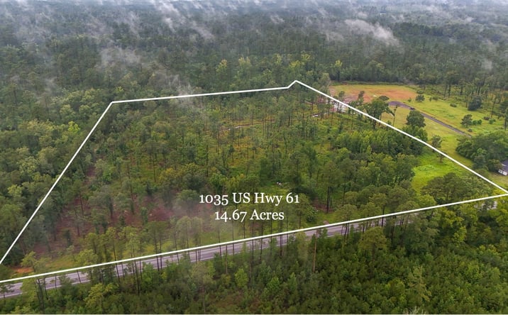 Pictures of Land property located at 1035 Highway 61, Ridgeville, SC 29472 for sales - image #1