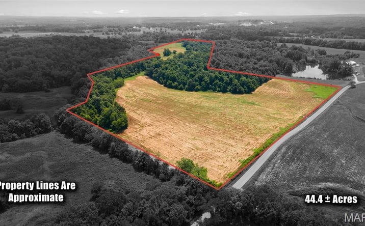 Pictures of Land property located at County Road 349, Millersville, MO 63766 for sales - image #1