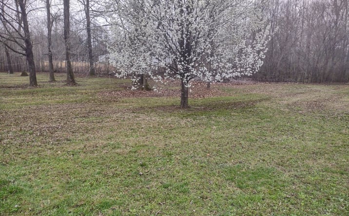 Pictures of Land property located at 83 Lakeside Lane Lot 37, Decaturville, TN 38329 for sales - image #1