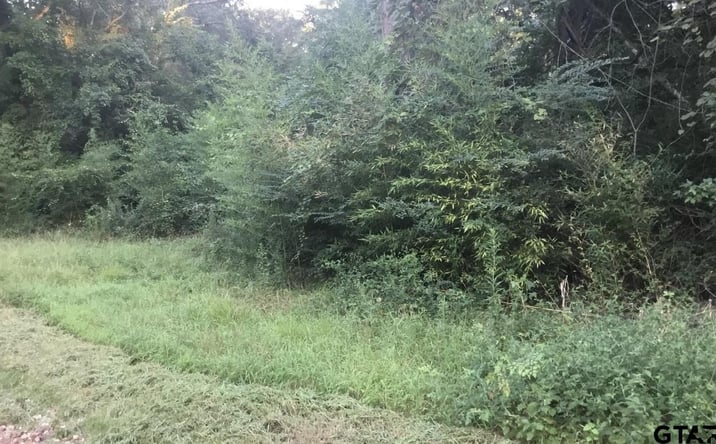 Pictures of Land property located at TBD Co Rd 4105, Jacksonville, TX 75766 for sales - image #1