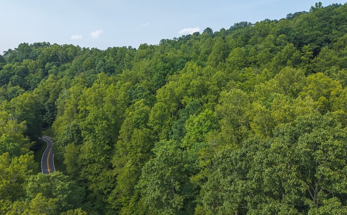 Pictures of Land property located at TBD Brushy Mountain Rd, Moravian Falls, NC 28654 for sales - image #1