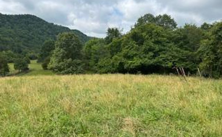 Pictures of Land property located at 0 Trent Valley Road, Sneedville, TN 37869 for sales - image #1