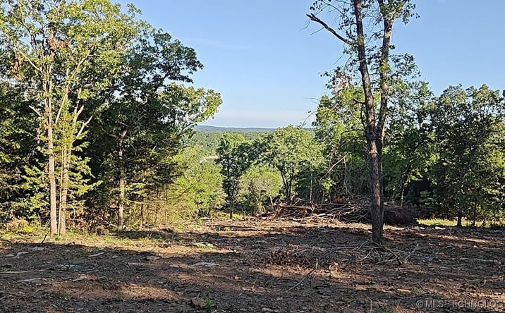 Pictures of Land property located at 21595 W 888 Road, Cookson, OK 74427 for sales - image #1