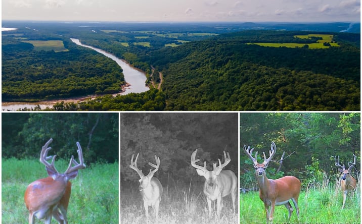 Pictures of Land property located at N 4040 Road, Stidham, OK 74461 for sales - image #1