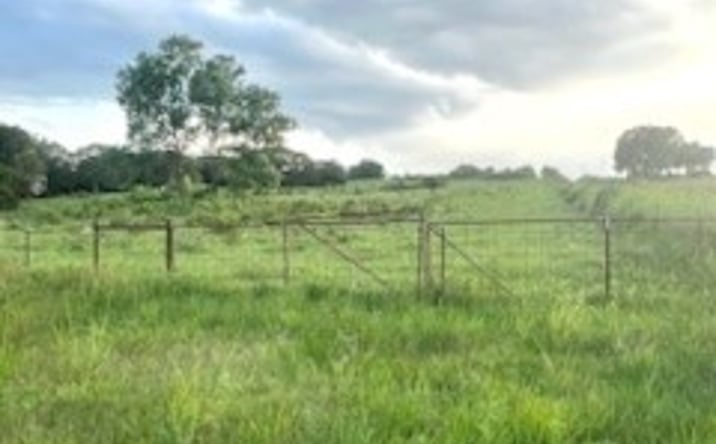 Pictures of Land property located at E 149 Road, Allen, OK 74825 for sales - image #1