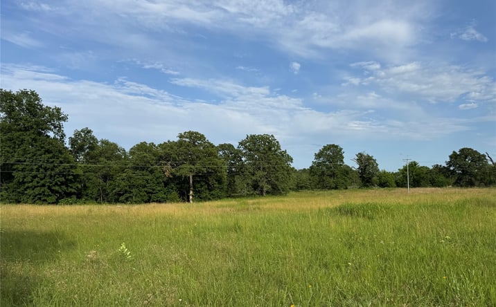 Pictures of Land property located at 9836 County Road 3647 Loop, Allen, OK 74825 for sales - image #1