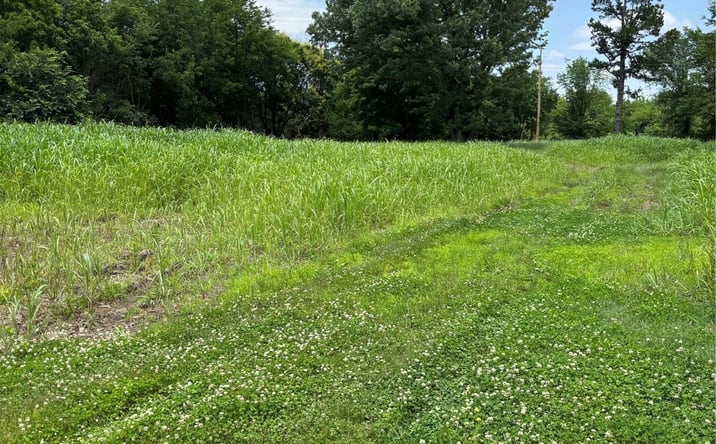 Pictures of Land property located at 20624 Ferguson Road, Okmulgee, OK 74447 for sales - image #1