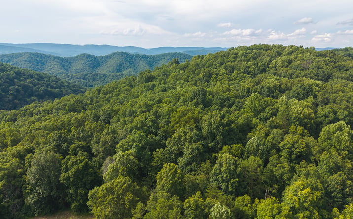 Pictures of Land property located at 0 Gravely Valley Road, Eidson, TN 37731 for sales - image #1