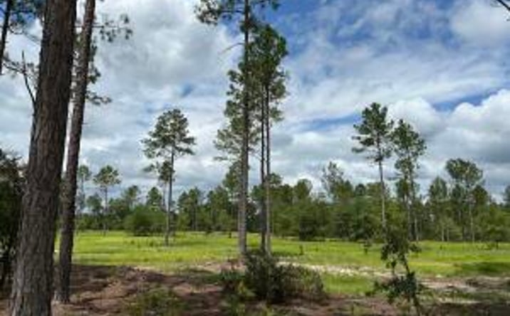 Pictures of Land property located at 00 Laughlin Loop, Aiken, SC 29805 for sales - image #1