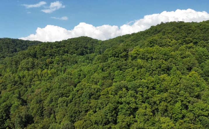 Pictures of Land property located at TBD Nanny Branch Rd, Grundy, VA 24614 for sales - image #1