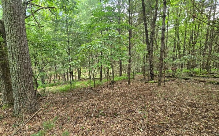 Pictures of Land, Multifamily property located at TBD Summerset Dr., Independence, VA 24348 for sales - image #1
